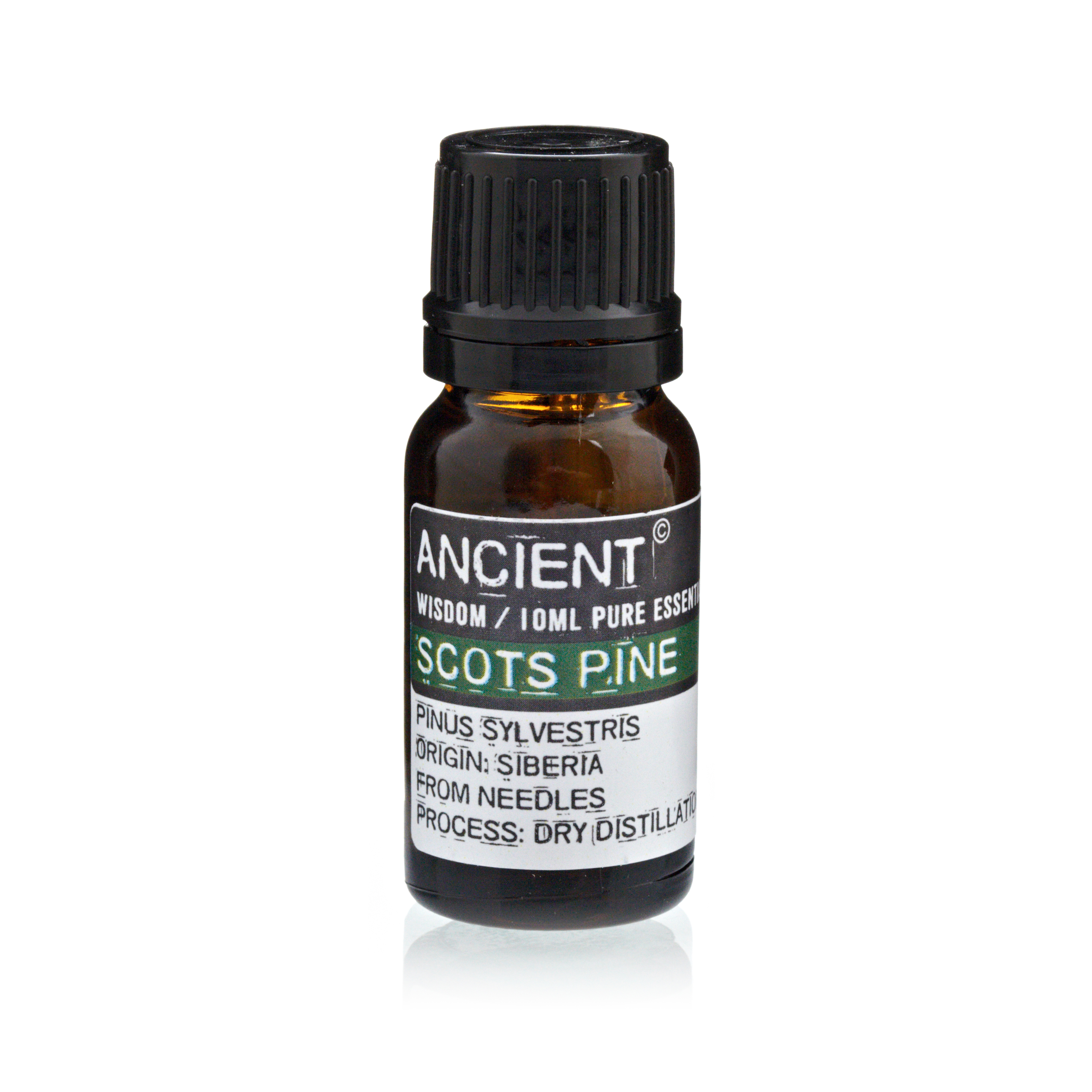 Óleo Essencial 10ml - Pinho Silvestre ( Pine Sylvestris (Scots P (imagem de) Óleo Essencial 10ml - Pinho Silvestre ( Pine Sylvestris (Scots P